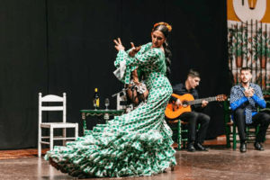 Flamenco Show in Malaga