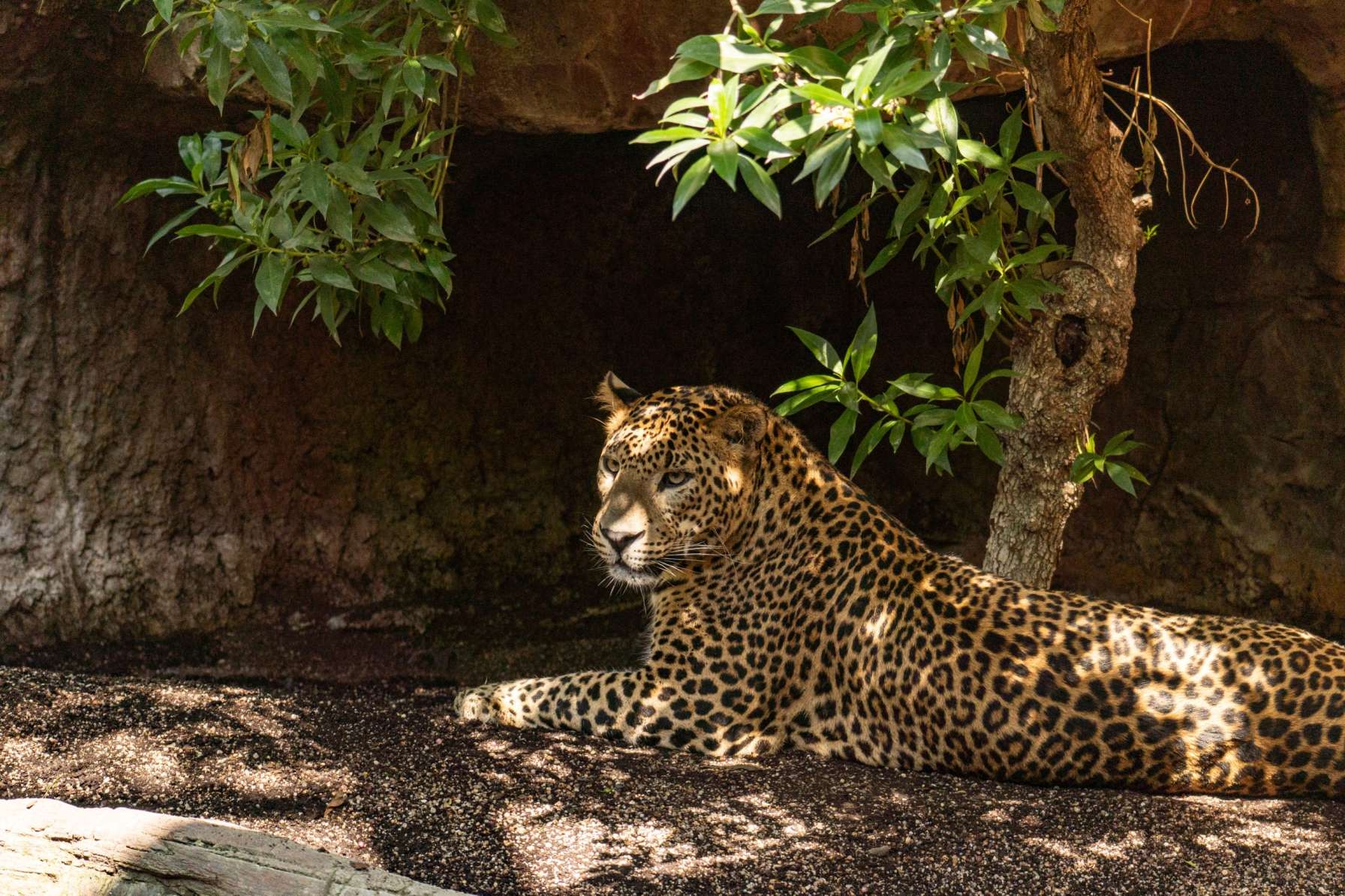 Bioparc Fuengirola (Alles Malaga)